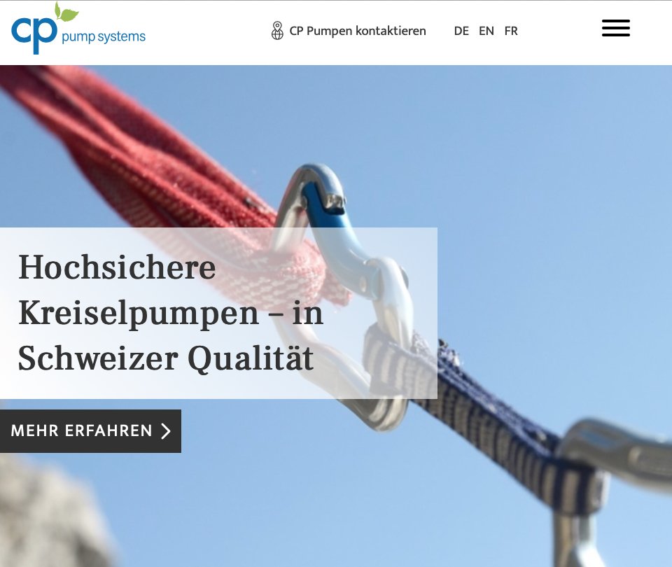 Titel der Website von CP Pumpen, Text: Ursula Thomas-Stein