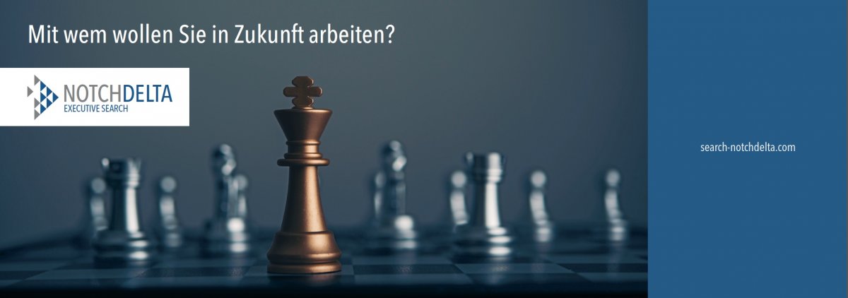 Unternehmensflyer, Titel, NotchDelta Executive Search